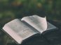 How Were the Books of the Bible Canonized?