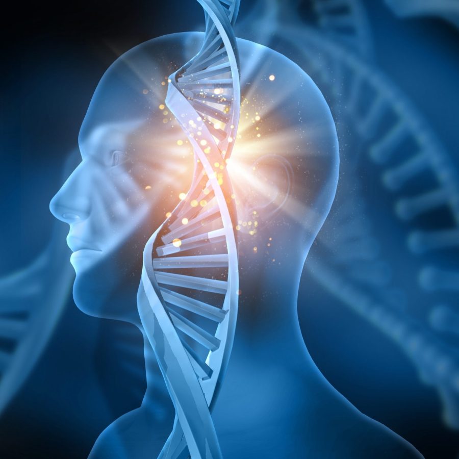 Could homosexuality be biologically based?‎